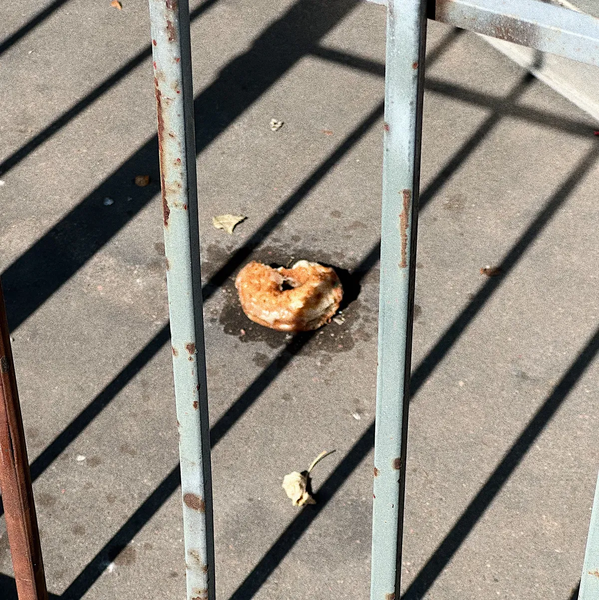 the saddest photo i have ever taken -- it's a donut seen through a locked gate